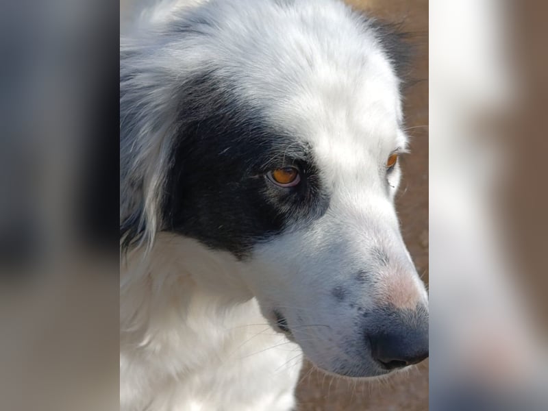 Margherita sucht ihr Glück