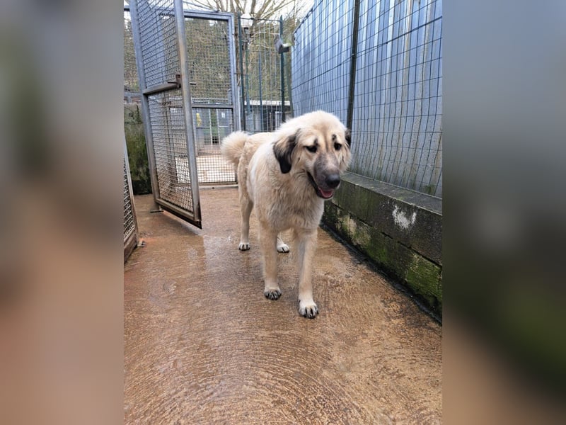 Fiorella sucht ihr passendes Zuhause