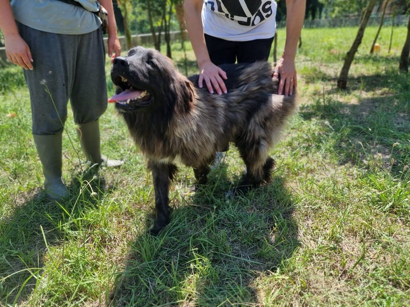 Tessa sucht ihre Menschen