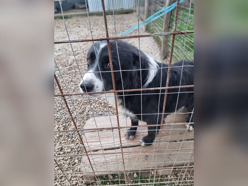 Elia sucht sein Glück