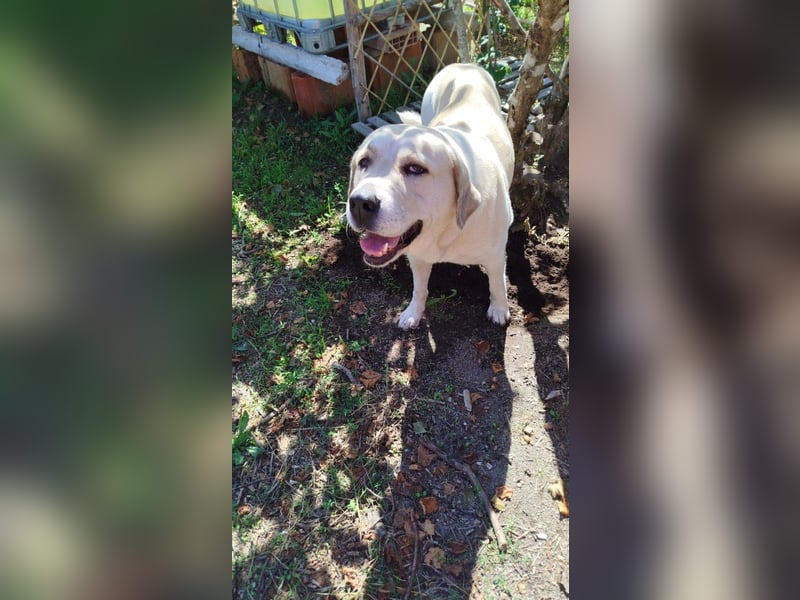 Lola sucht geduldige Menschen
