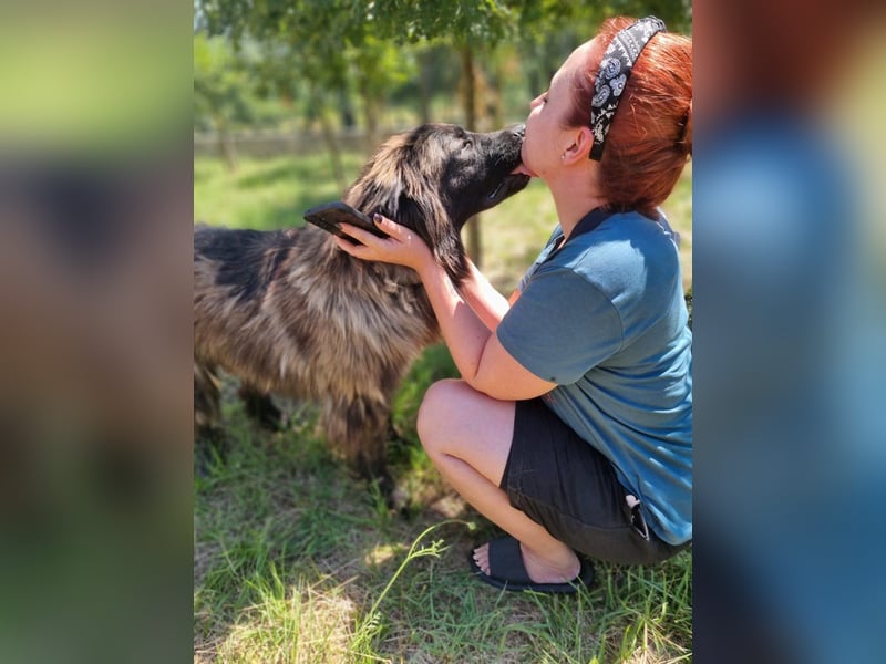 Tessa sucht ihre Menschen