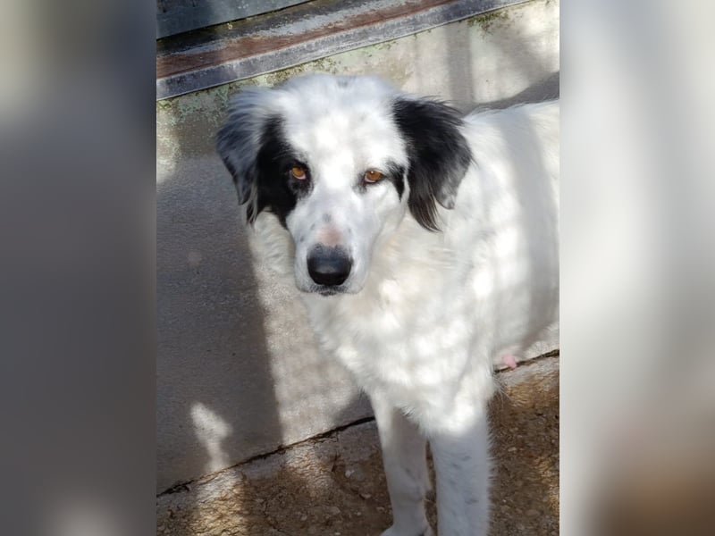 Margherita sucht ihr Glück