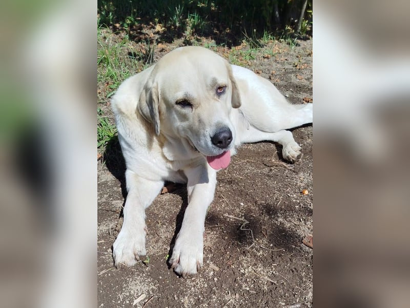 Lola sucht geduldige Menschen