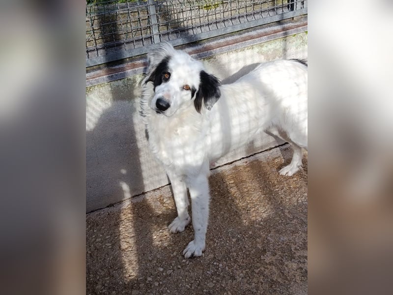 Margherita sucht ihr Glück