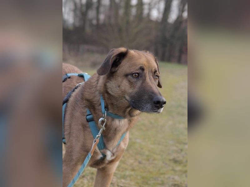 Fred - ist ein ruhiges Wesen