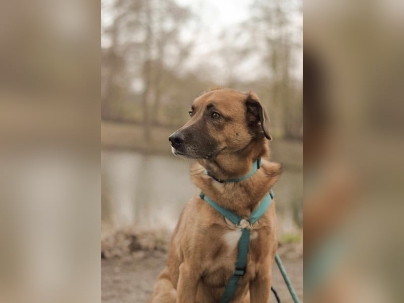 Fred - ist ein ruhiges Wesen