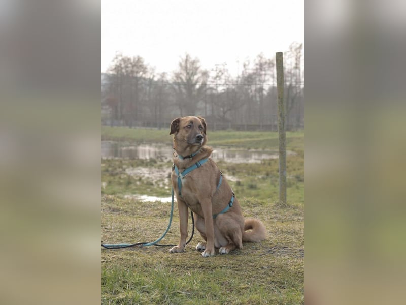 Fred - ist ein ruhiges Wesen