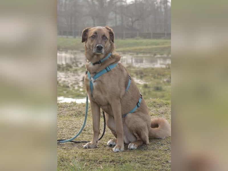 Fred - ist ein ruhiges Wesen