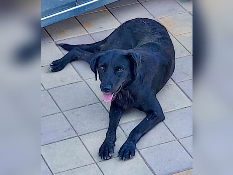 Naomi hat ein Herz aus Gold