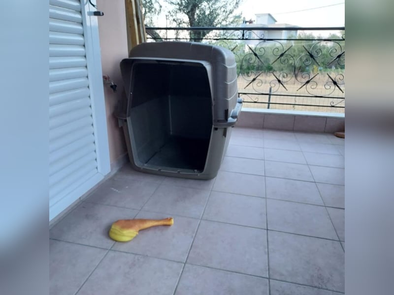 Naomi hat ein Herz aus Gold