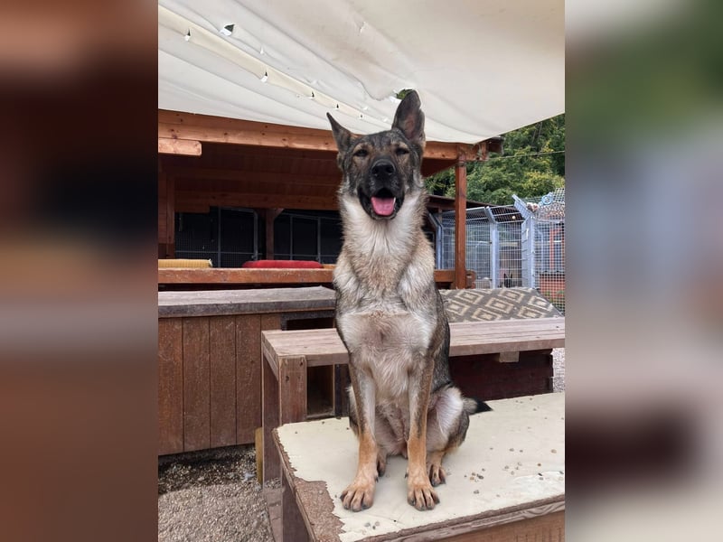 Tanka - freundlich, aktiv