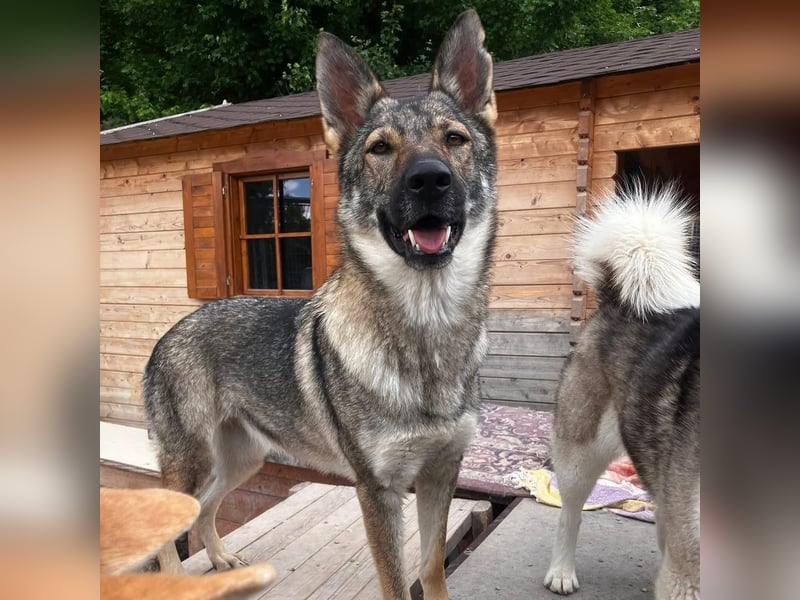 Tanka - freundlich, aktiv