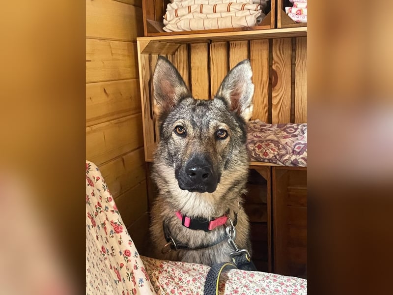 Tanka - freundlich, aktiv