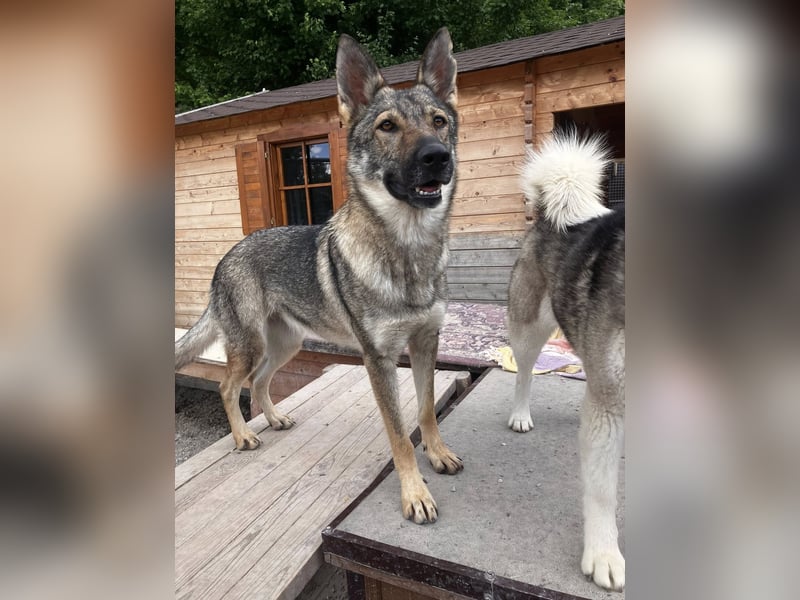 Tanka - freundlich, aktiv