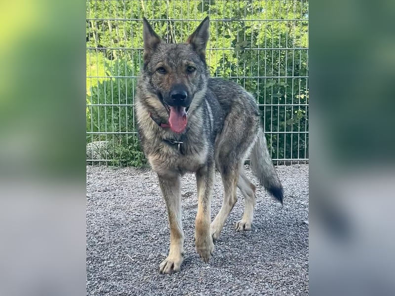 Tanka - freundlich, aktiv