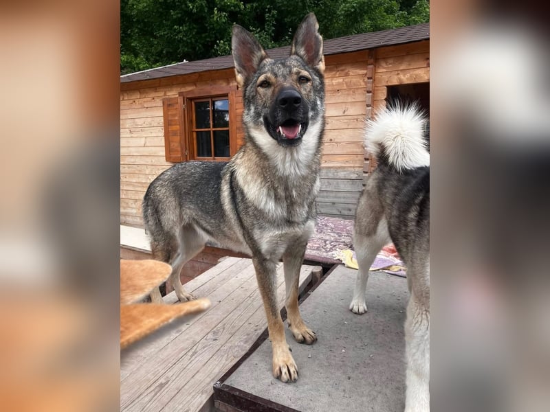 Tanka - freundlich, aktiv