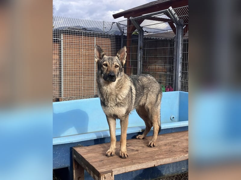 Tanka - freundlich, aktiv