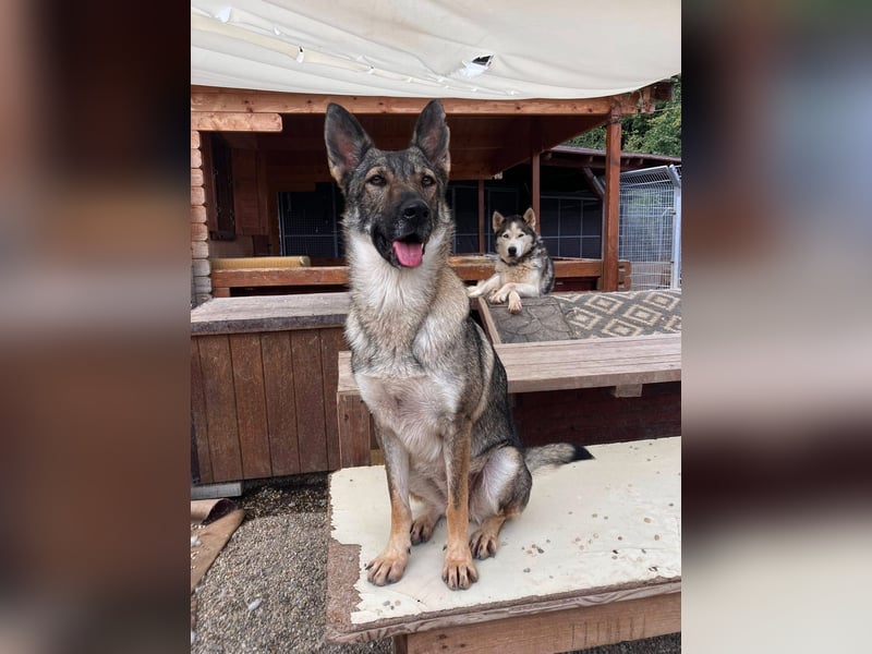 Tanka - freundlich, aktiv