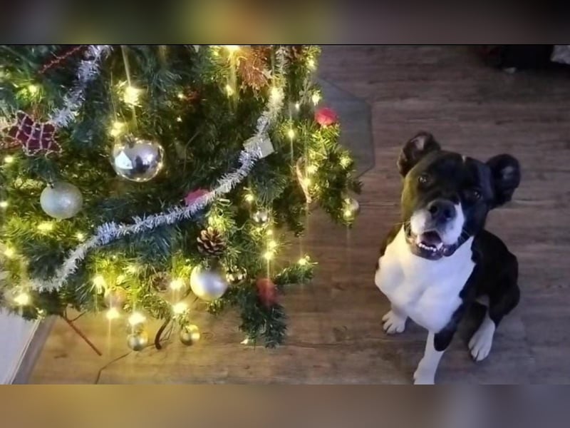 Paul sucht Endstelle