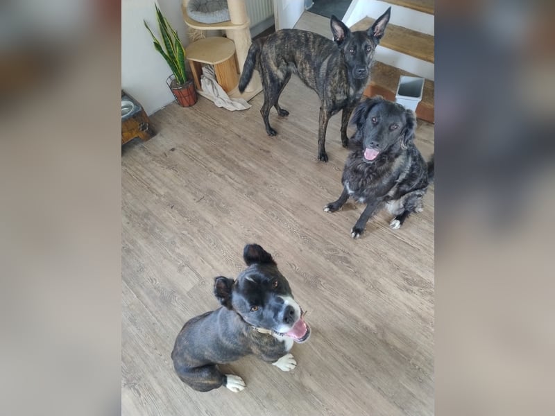 Paul sucht Endstelle