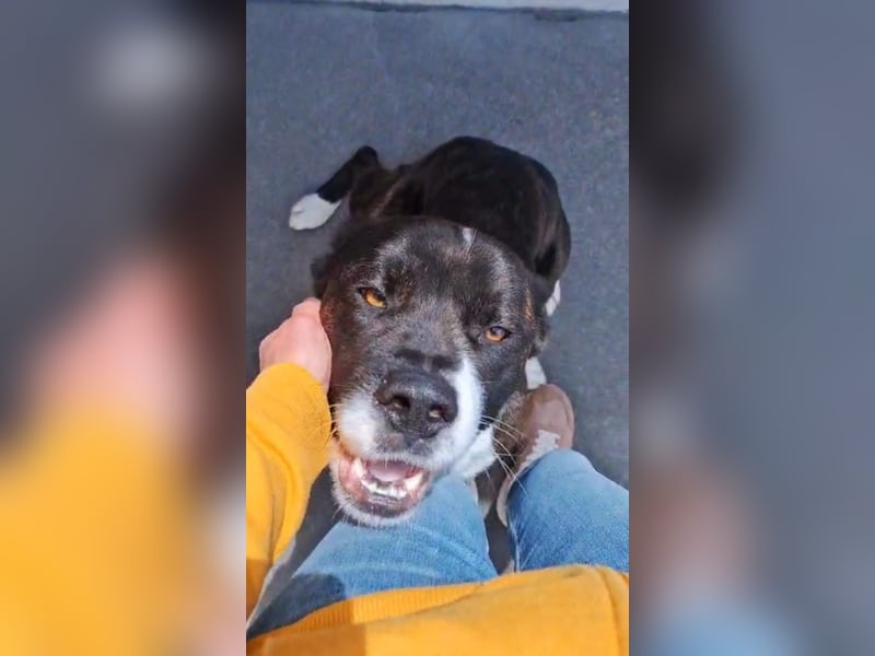 Paul sucht Endstelle