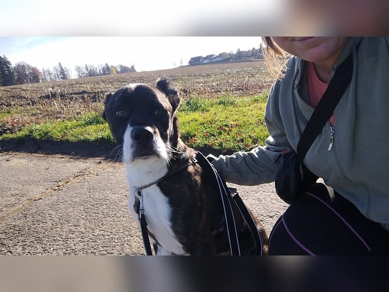 Paul sucht Endstelle