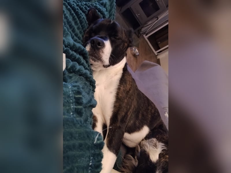 Paul sucht Endstelle