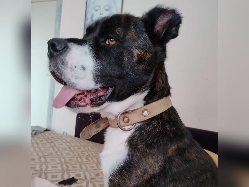 Paul sucht Endstelle