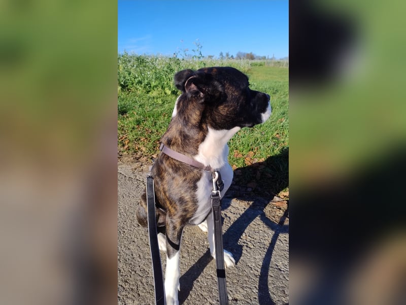 Paul sucht Endstelle