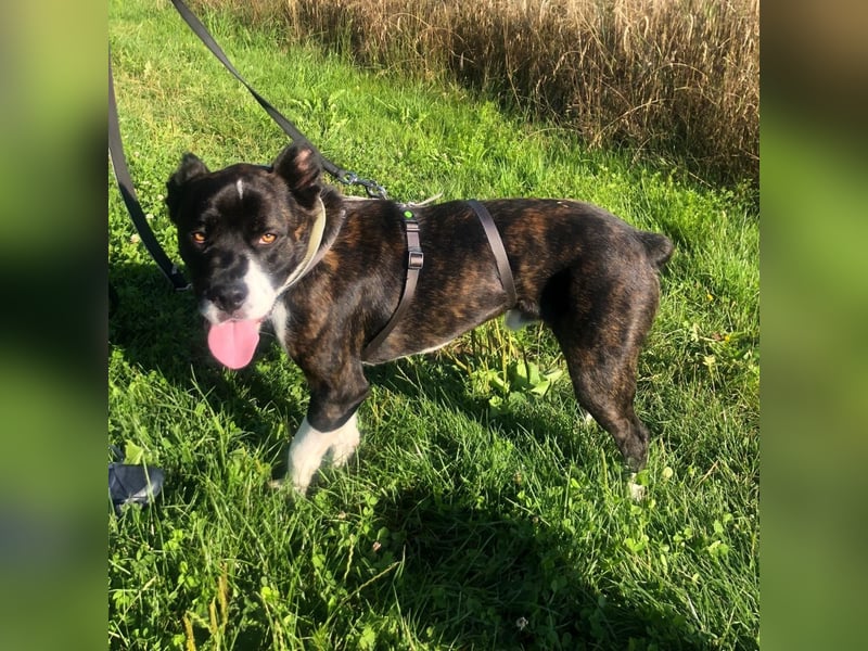 Paul sucht Endstelle