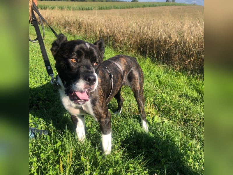 Paul sucht Endstelle