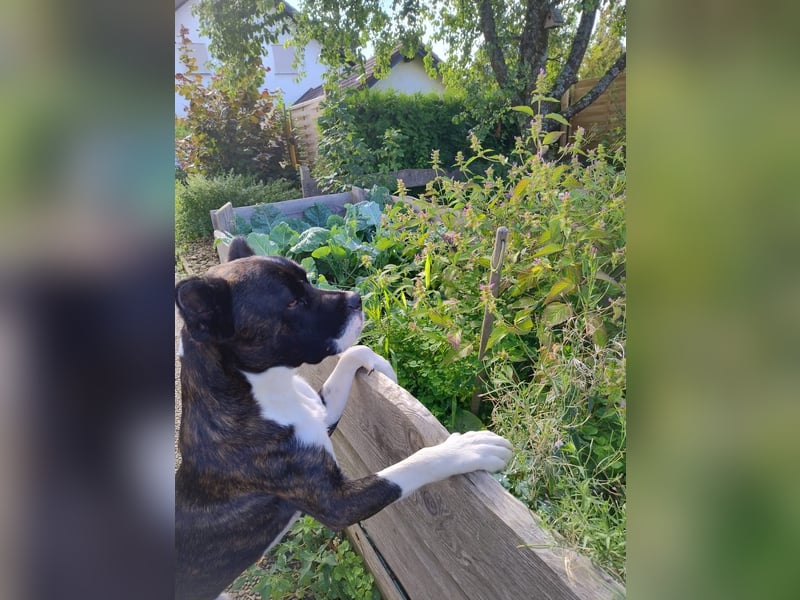 Paul sucht Endstelle