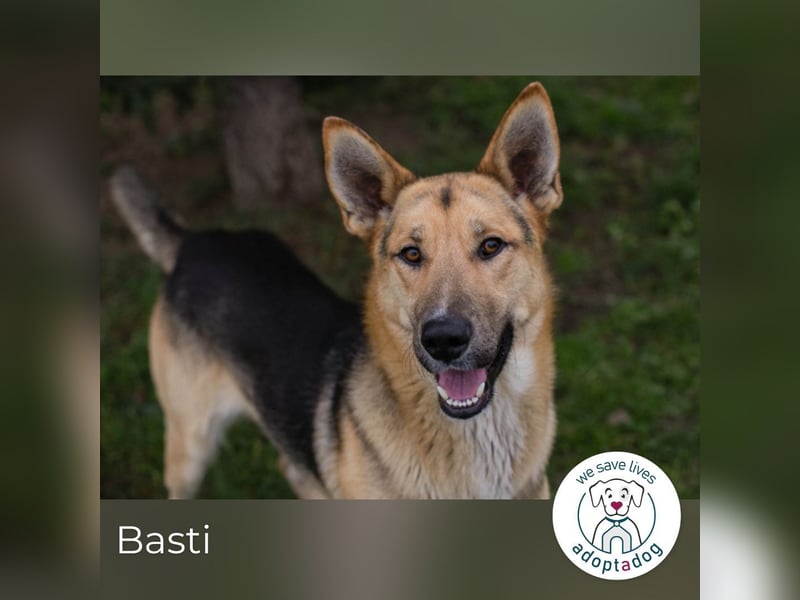 Basti: Fröhlicher Abenteurer