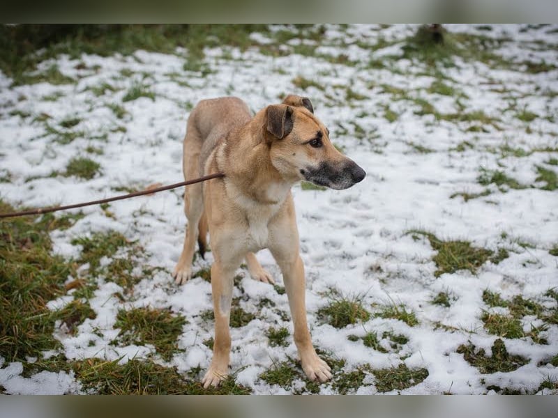 Beethoven: Ode an die Liebe