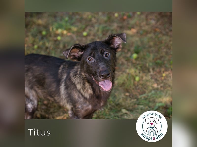 Titus: Bereit für einen Neuanfang