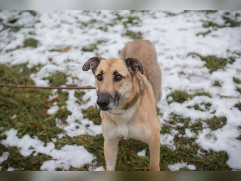 Beethoven: Ode an die Liebe