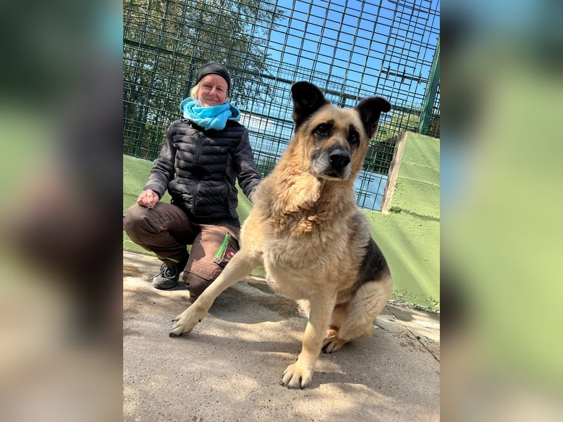 Chiku: Entspannt, entspannter, Chiku!