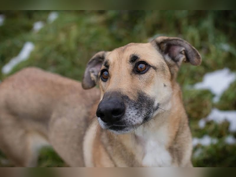 Beethoven: Ode an die Liebe