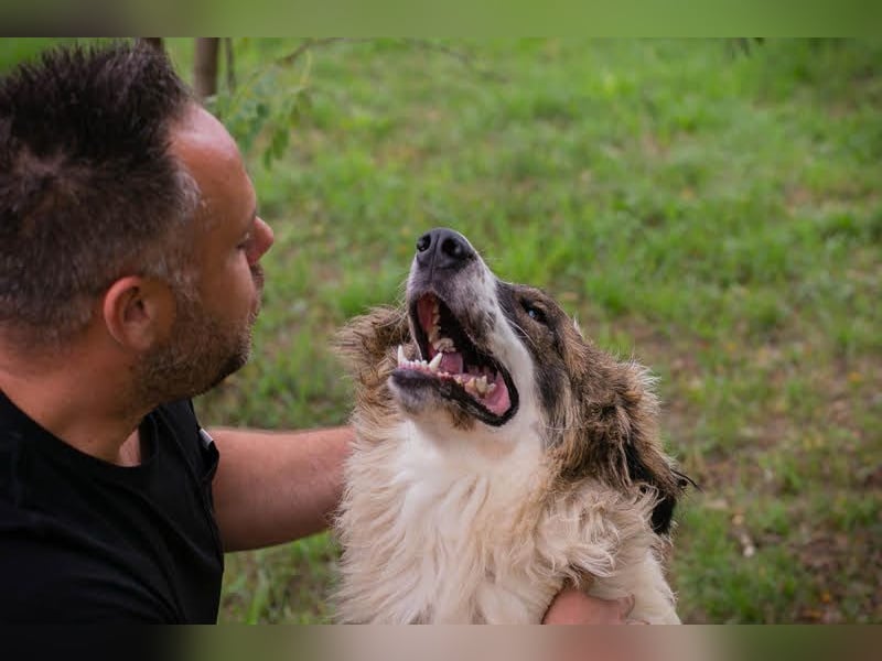 Simba: Riese mit viel Charme