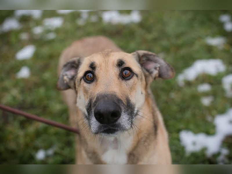 Beethoven: Ode an die Liebe