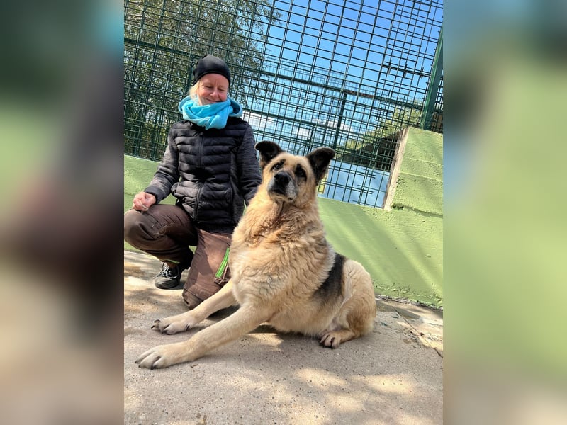 Chiku: Entspannt, entspannter, Chiku!