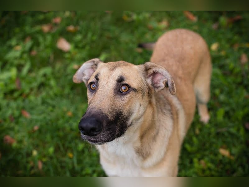 Beethoven: Ode an die Liebe