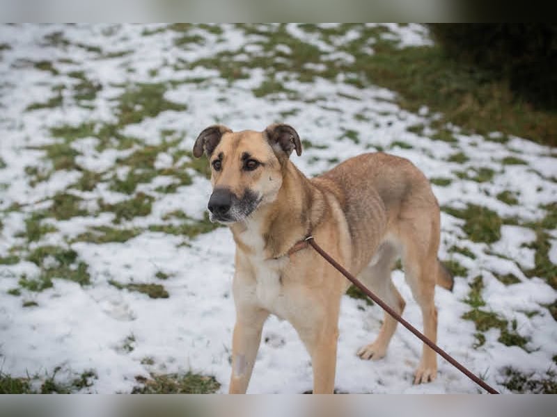 Beethoven: Ode an die Liebe