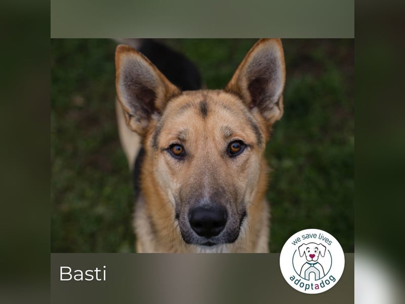 Basti: Fröhlicher Abenteurer