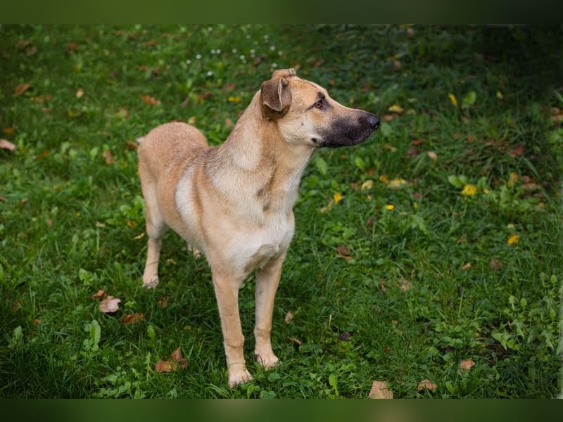 Beethoven: Ode an die Liebe