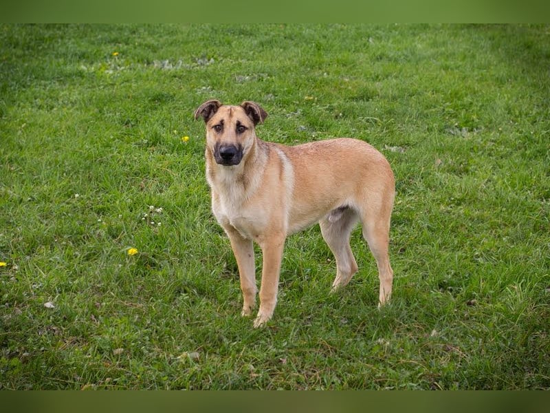 Beethoven: Ode an die Liebe