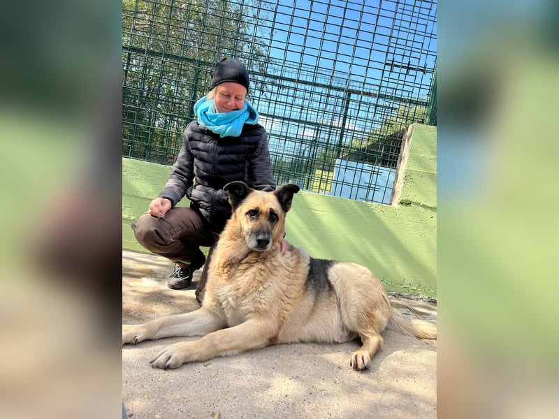 Chiku: Entspannt, entspannter, Chiku!