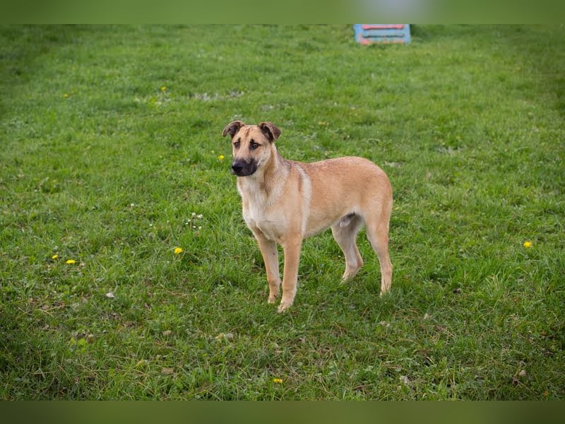 Beethoven: Ode an die Liebe