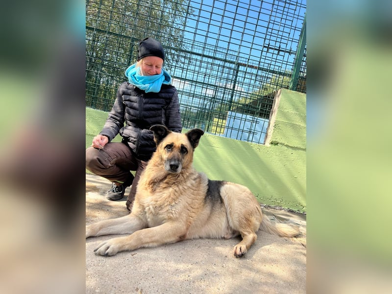 Chiku: Entspannt, entspannter, Chiku!